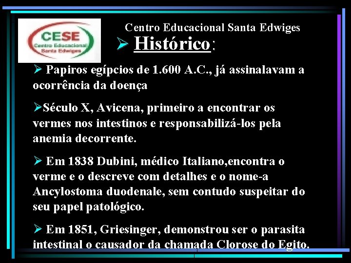 Centro Educacional Santa Edwiges Ø Histórico: Ø Papiros egípcios de 1. 600 A. C.