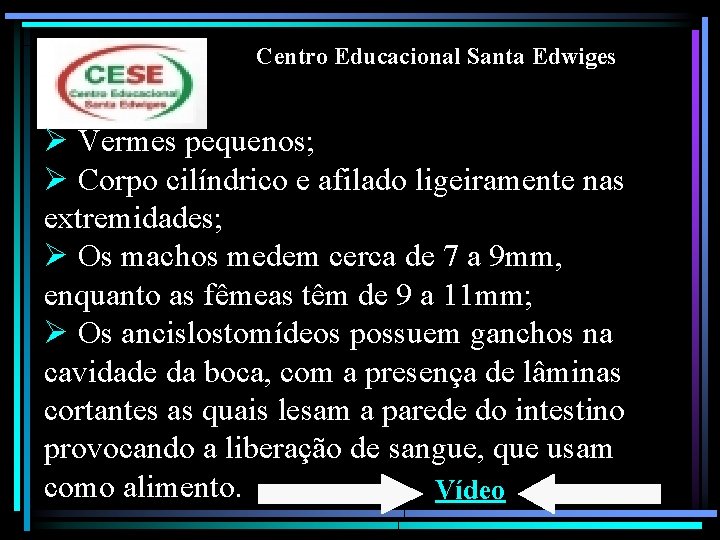 Centro Educacional Santa Edwiges Ø Vermes pequenos; Ø Corpo cilíndrico e afilado ligeiramente nas