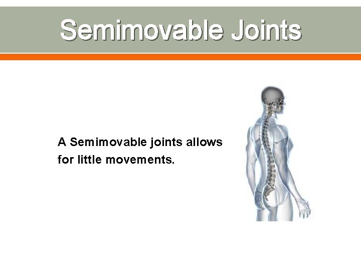 Semimovable Joints A Semimovable joints allows for little movements. 