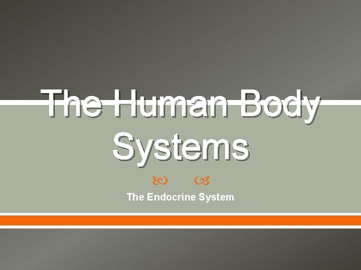 The Human Body Systems The Endocrine System 