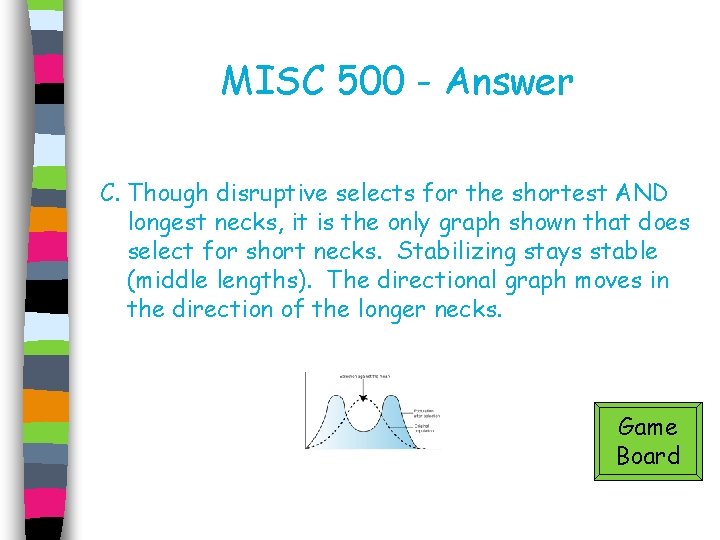 MISC 500 - Answer C. Though disruptive selects for the shortest AND longest necks,