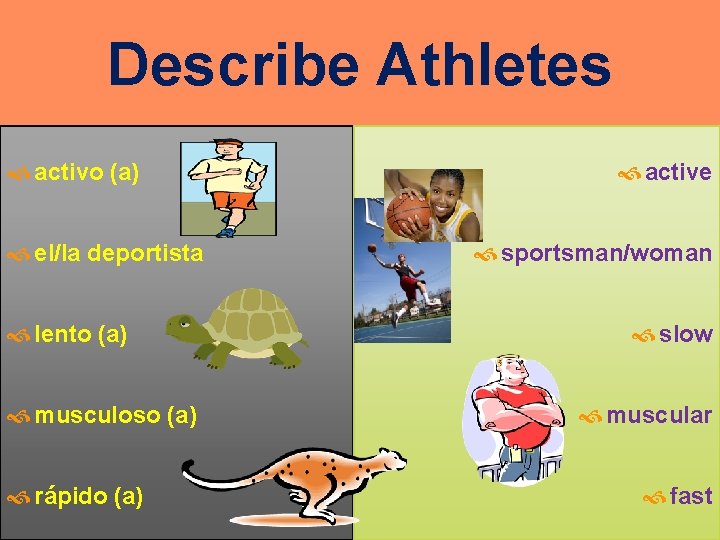 Describe Athletes activo (a) el/la deportista lento (a) musculoso (a) rápido (a) active sportsman/woman