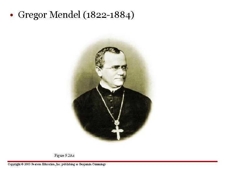  • Gregor Mendel (1822 -1884) Figure 9. 2 Ax Copyright © 2003 Pearson