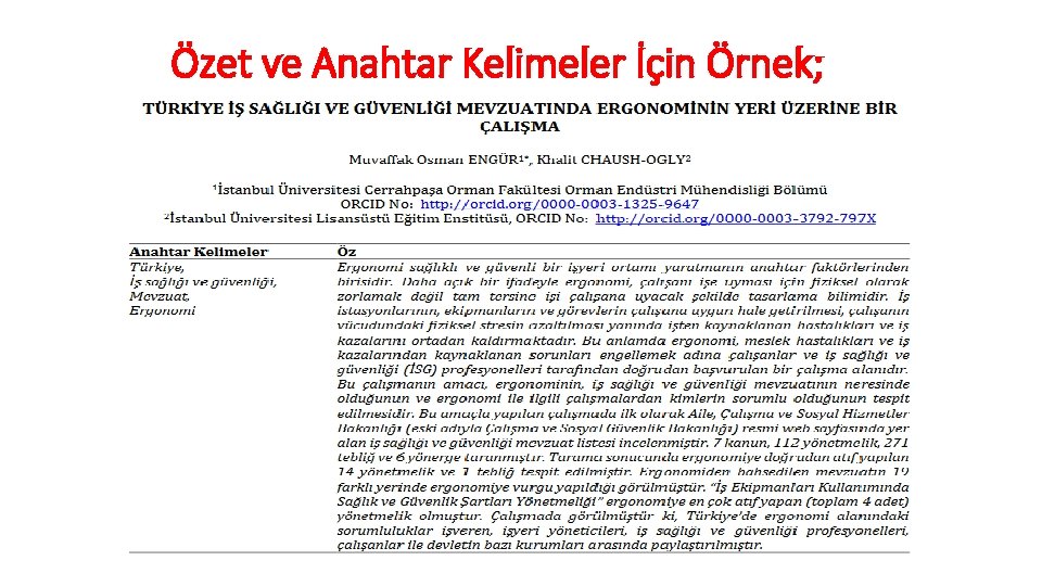 Özet ve Anahtar Kelimeler İçin Örnek; 