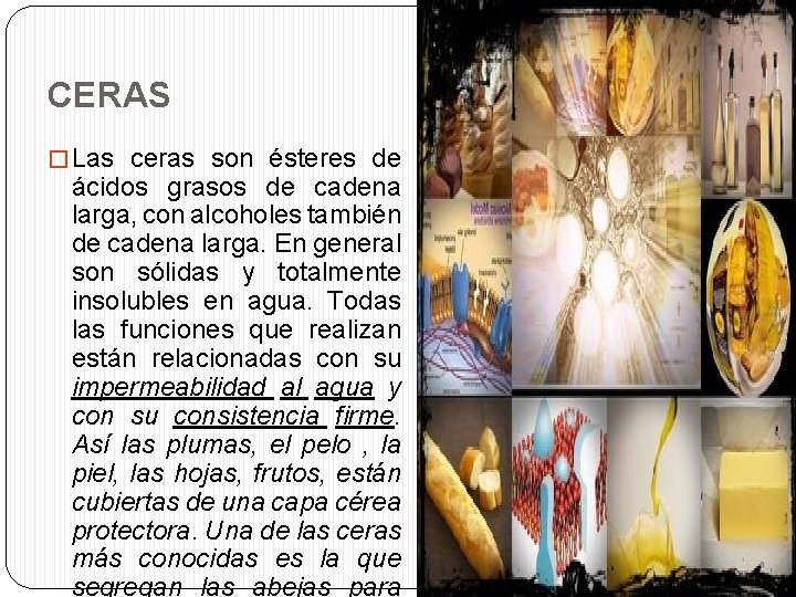 CERAS � Las ceras son ésteres de ácidos grasos de cadena larga, con alcoholes
