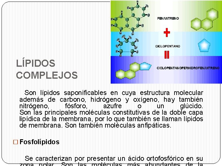 LÍPIDOS COMPLEJOS Son lípidos saponificables en cuya estructura molecular además de carbono, hidrógeno y