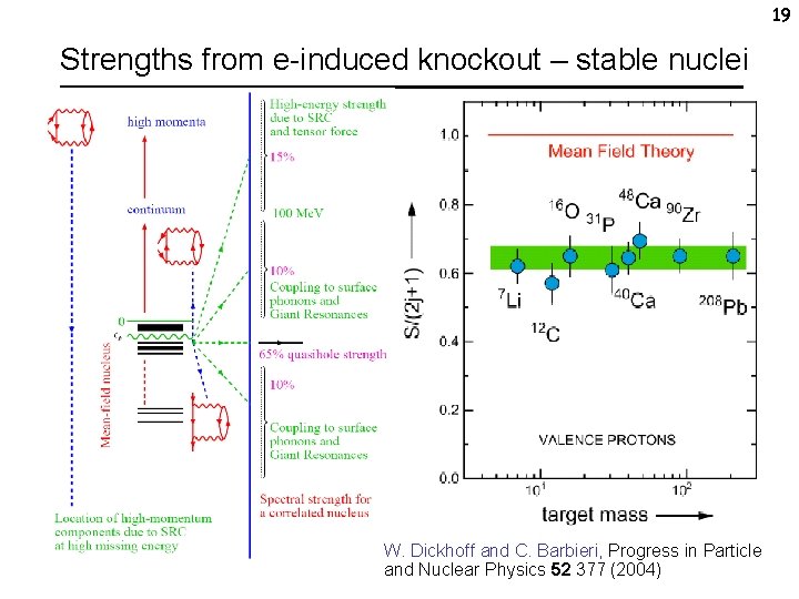 19 Strengths from e-induced knockout – stable nuclei W. Dickhoff and C. Barbieri, Progress