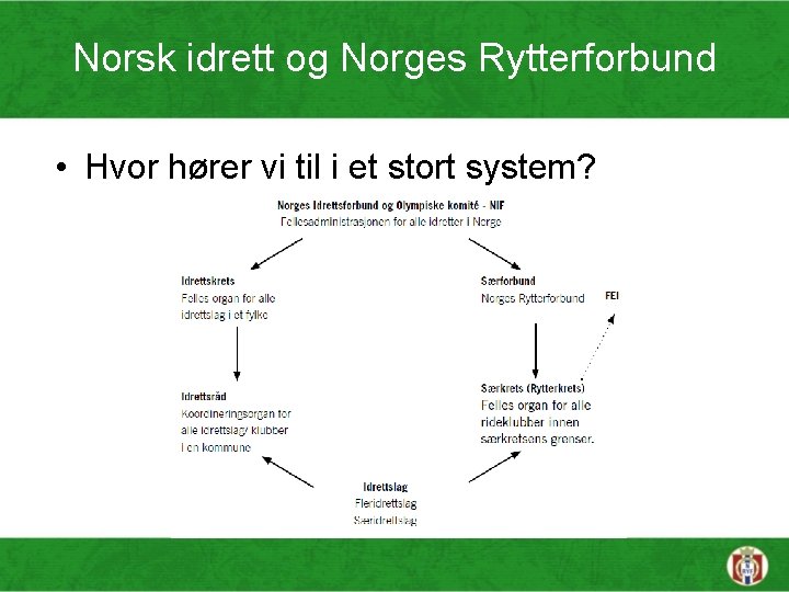 Norsk idrett og Norges Rytterforbund • Hvor hører vi til i et stort system?