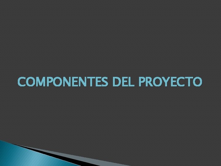 COMPONENTES DEL PROYECTO 