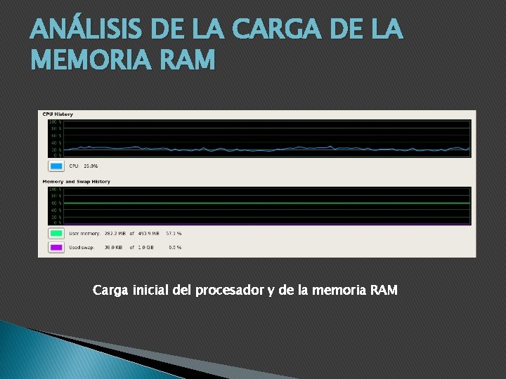 ANÁLISIS DE LA CARGA DE LA MEMORIA RAM Carga inicial del procesador y de