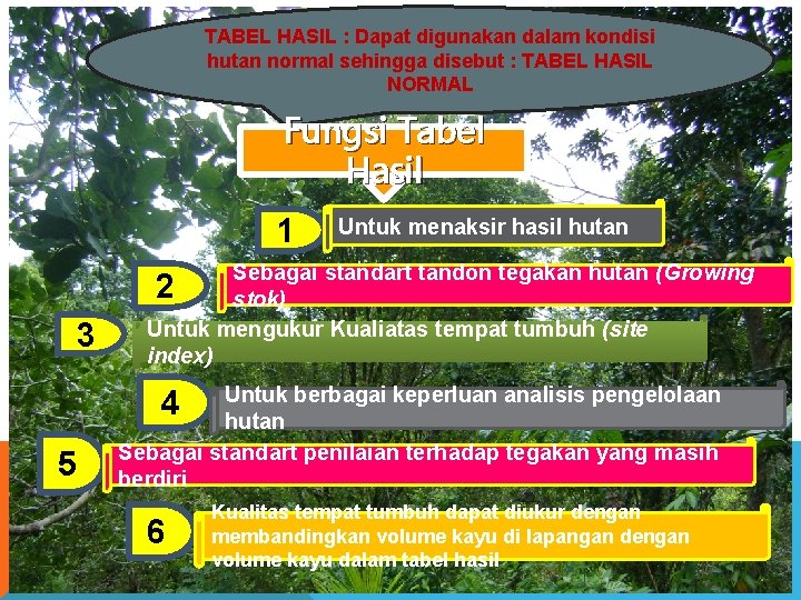 TABEL HASIL : Dapat digunakan dalam kondisi hutan normal sehingga disebut : TABEL HASIL