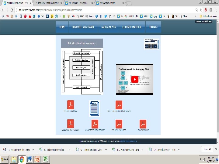 Pre requisite for combined assurance • Effective risk management capacity 