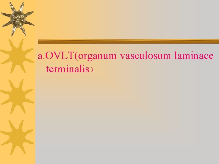 a. OVLT(organum vasculosum laminace terminalis） 