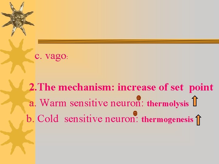 c. vago: 2. The mechanism: increase of set point a. Warm sensitive neuron: thermolysis