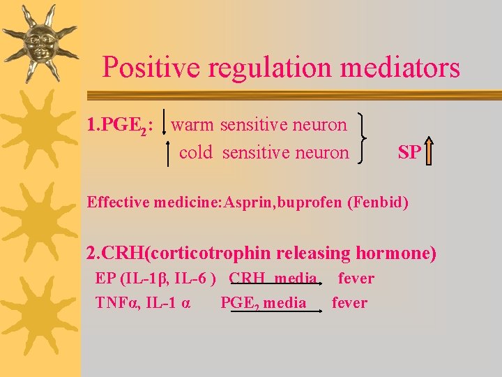 Positive regulation mediators 1. PGE 2: warm sensitive neuron cold sensitive neuron SP Effective