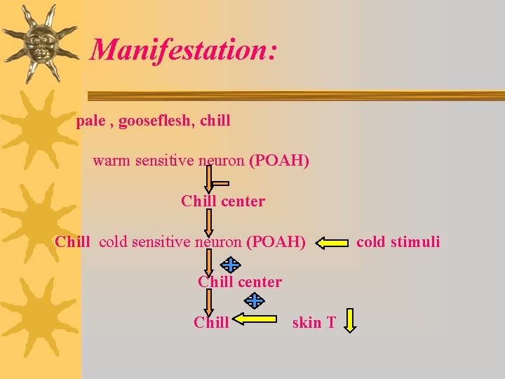 Manifestation: pale , gooseflesh, chill warm sensitive neuron (POAH) Chill center Chill cold sensitive