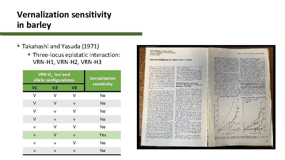 Vernalization sensitivity in barley § Takahashi and Yasuda (1971) § Three-locus epistatic interaction: VRN-H