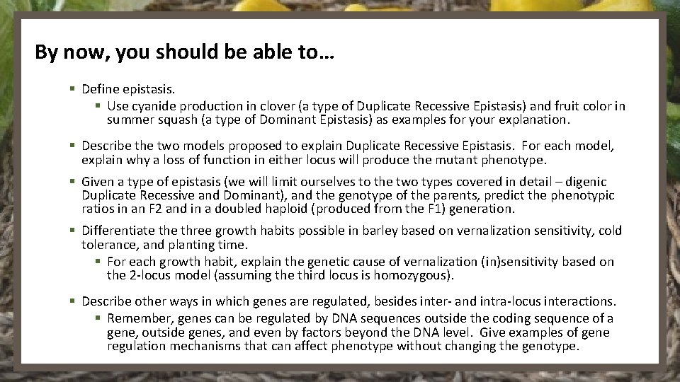 By now, you should be able to… § Define epistasis. § Use cyanide production