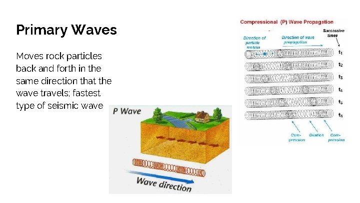 Primary Waves Moves rock particles back and forth in the same direction that the