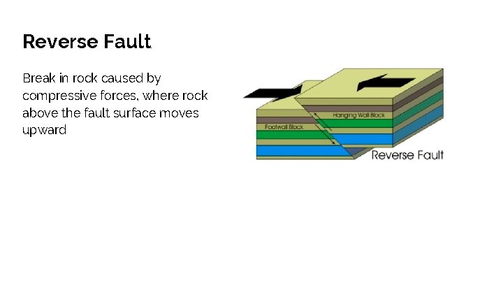 Reverse Fault Break in rock caused by compressive forces, where rock above the fault