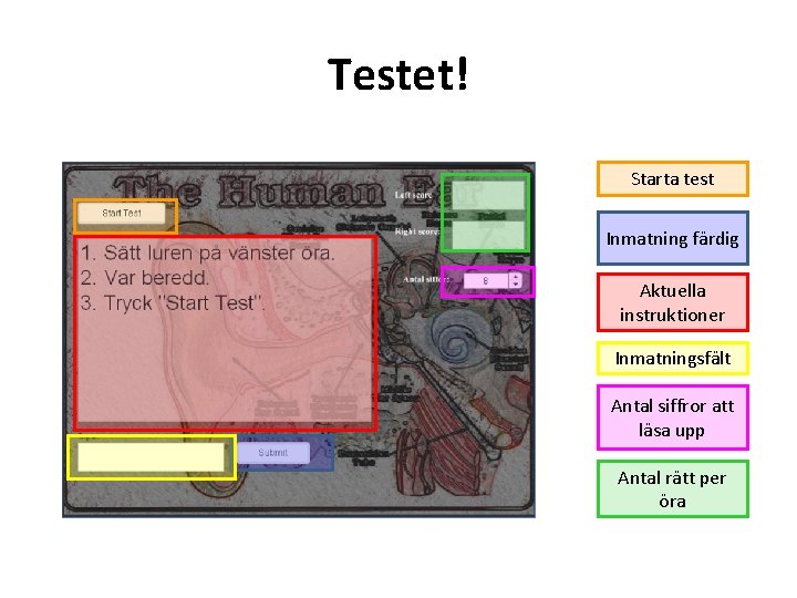 Testet! Starta test Inmatning färdig Aktuella instruktioner Inmatningsfält Antal siffror att läsa upp Antal