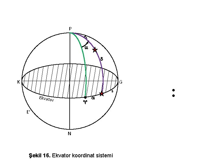 P < s K G s Ekvato r ♈ E’ N Şekil 16. Ekvator