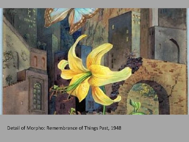 Detail of Morpho: Remembrance of Things Past, 1948 