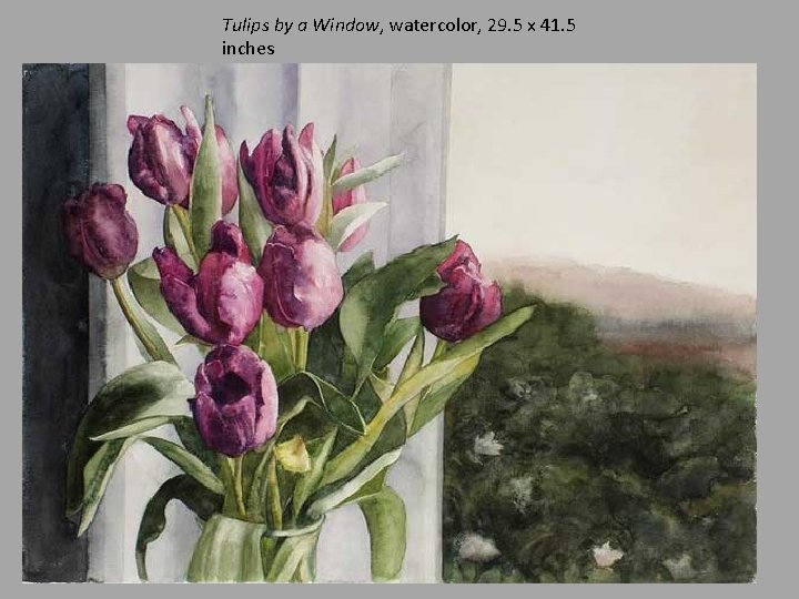 Tulips by a Window, watercolor, 29. 5 x 41. 5 inches 