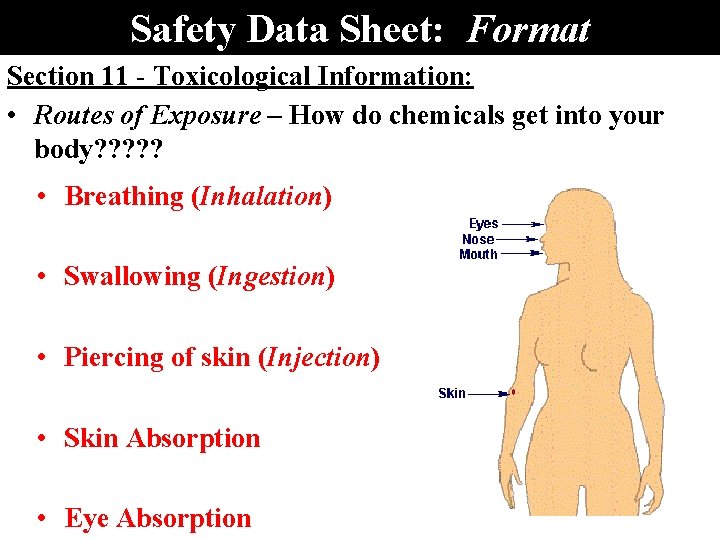 Safety Data Sheet: Format Section 11 - Toxicological Information: • Routes of Exposure –