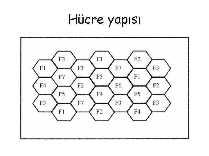 Hücre yapısı 