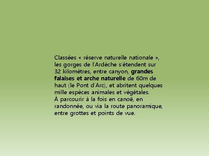 Classées « réserve naturelle nationale » , les gorges de l’Ardèche s’étendent sur 32