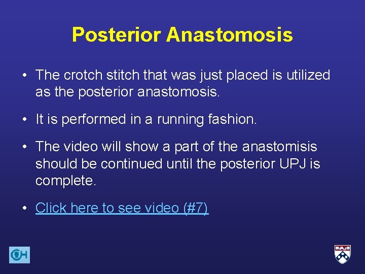 Posterior Anastomosis • The crotch stitch that was just placed is utilized as the