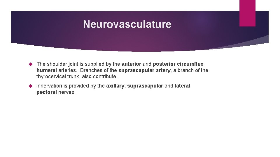 Neurovasculature The shoulder joint is supplied by the anterior and posterior circumflex humeral arteries.