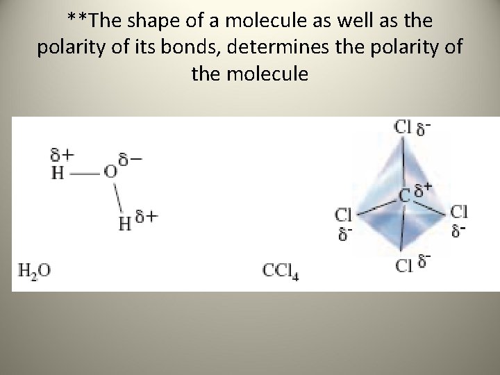 **The shape of a molecule as well as the polarity of its bonds, determines