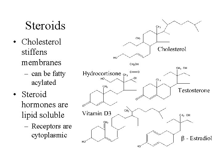 Steroids • Cholesterol stiffens membranes – can be fatty acylated • Steroid hormones are