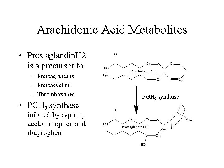 Arachidonic Acid Metabolites • Prostaglandin. H 2 is a precursor to – Prostaglandins –
