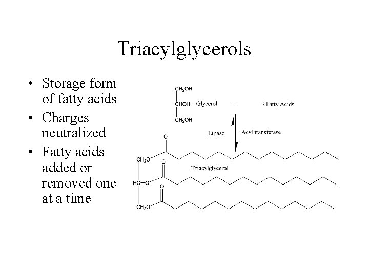 Triacylglycerols • Storage form of fatty acids • Charges neutralized • Fatty acids added