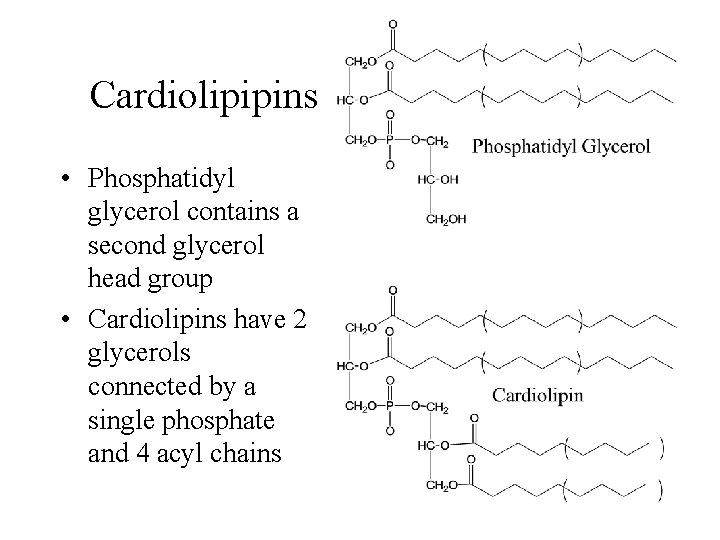 Biological Lipids and Bilayers Lipids are nearly insoluble