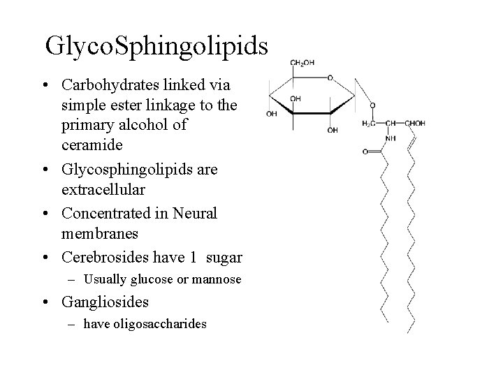 Glyco. Sphingolipids • Carbohydrates linked via simple ester linkage to the primary alcohol of