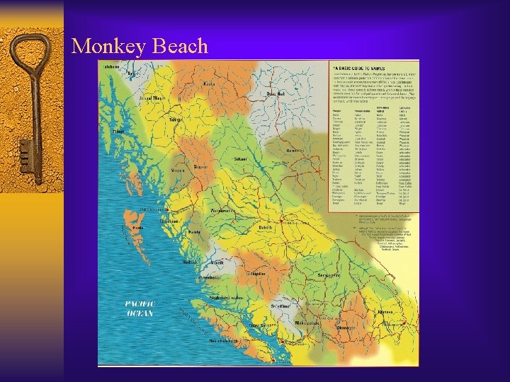 Monkey Beach 
