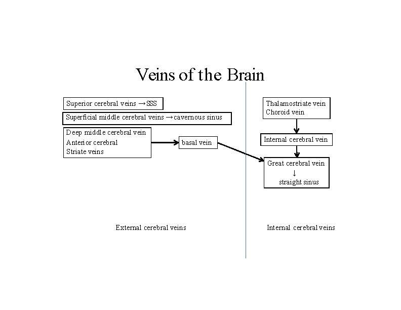 Veins of the Brain Superior cerebral veins → SSS Superficial middle cerebral veins →