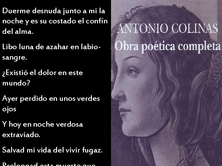 Duerme desnuda junto a mi la noche y es su costado el confín del