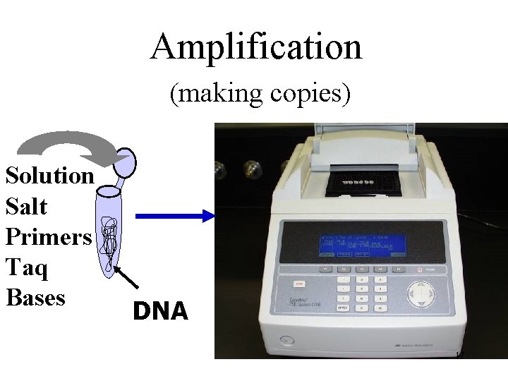 Amplification (making copies) Solution Salt Primers Taq Bases DNA 17 