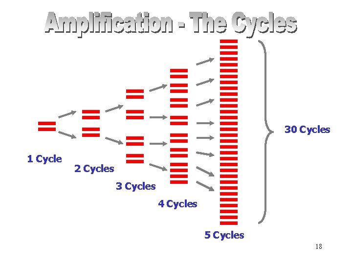 30 Cycles 1 Cycle 2 Cycles 3 Cycles 4 Cycles 5 Cycles 18 
