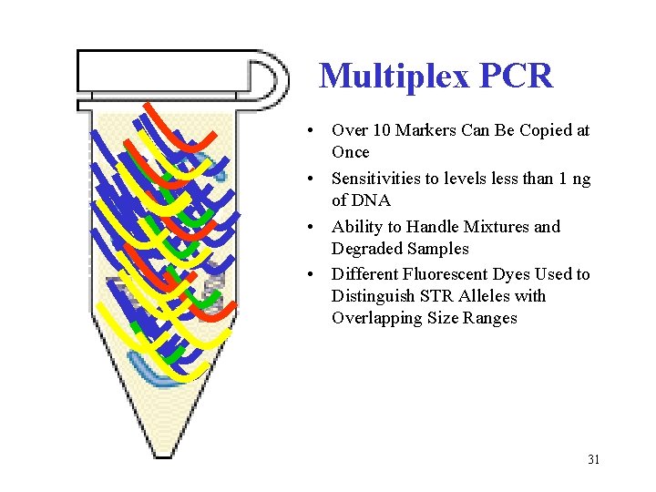 Multiplex PCR • Over 10 Markers Can Be Copied at Once • Sensitivities to
