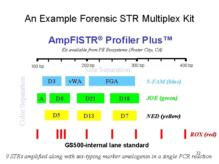 An Example Forensic STR Multiplex Kit Amp. Fl. STR® Profiler Plus™ Kit available from