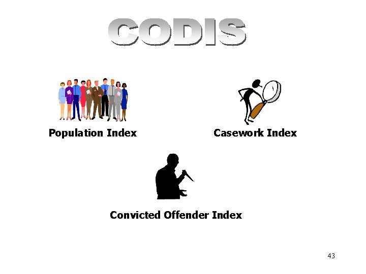 Population Index Casework Index Convicted Offender Index 43 