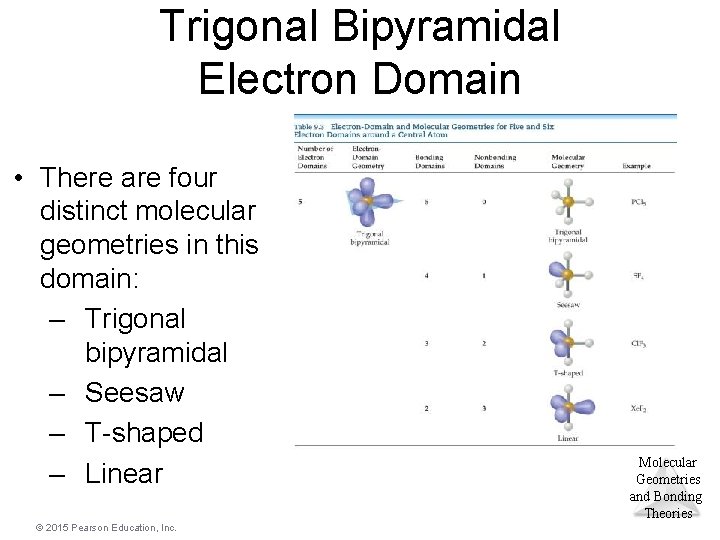 Trigonal Bipyramidal Electron Domain • There are four distinct molecular geometries in this domain: