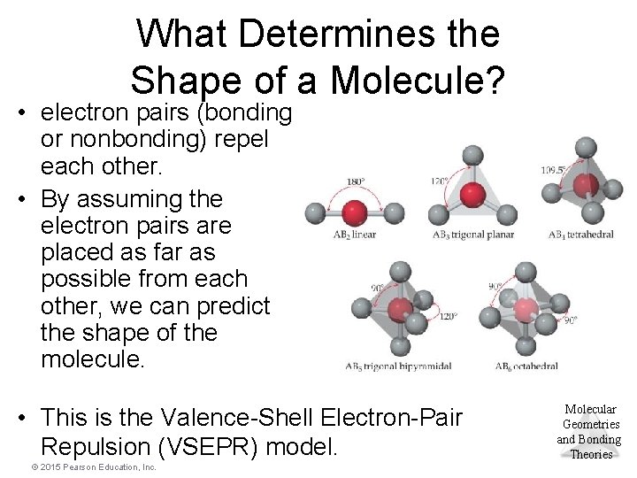 What Determines the Shape of a Molecule? • electron pairs (bonding or nonbonding) repel