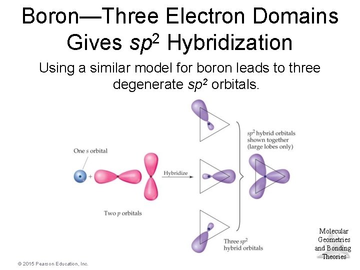 Boron—Three Electron Domains Gives sp 2 Hybridization Using a similar model for boron leads